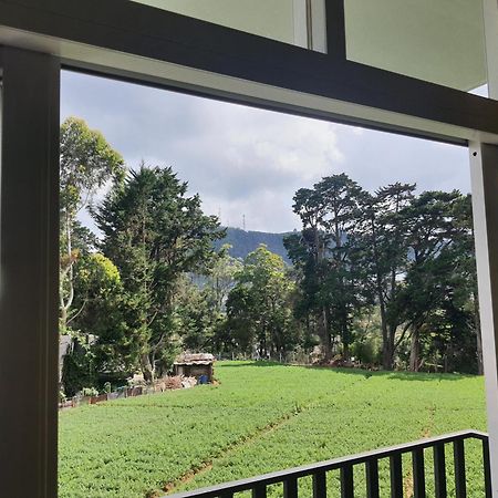 Green Mount View Two Bed Room Apartment Nuwara Eliya Zewnętrze zdjęcie