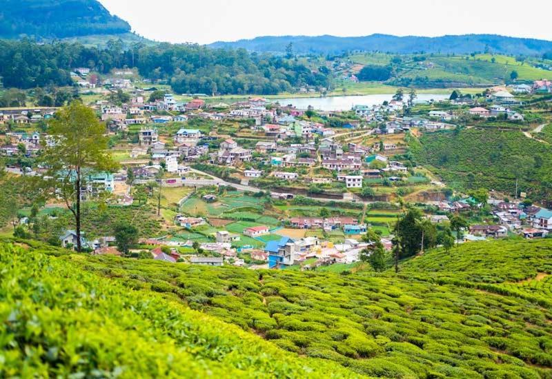 Green Mount View Two Bed Room Apartment Nuwara Eliya Zewnętrze zdjęcie