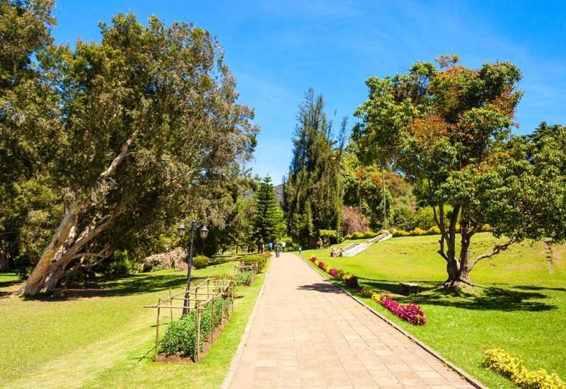 Green Mount View Two Bed Room Apartment Nuwara Eliya Zewnętrze zdjęcie